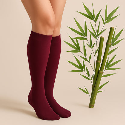 Maroon knee-high socks worn by a person with a beige background and green bamboo plant.